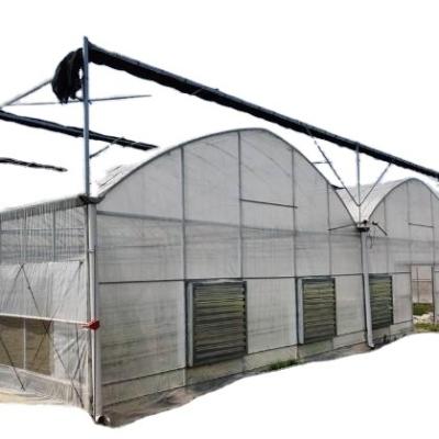 China Manufacturer Low Cost Greenhouse Agricultural Greenhouse Single Span Plastic Film Greenhouse for sale