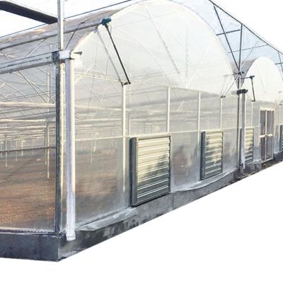 China Multi-span Plastic Film Greenhouse Hydroponic Greenhouse Strawberry Greenhouse Turnkey Project for sale