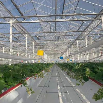 China Cheap Agriculture Multi-Span Glass Greenhouse Hydroponic Greenhouse For Sale for sale