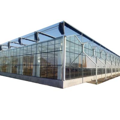 China Modern Agricultural Green House Multi-Span Tomato Hydroponic Greenhouse Glass Greenhouse For Sale for sale