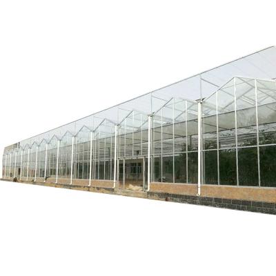 China Cheap Intelligent Agriculture Multi-Span Glass Greenhouse Hydroponic Greenhouse for sale