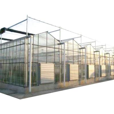 China Large Multi-span greenhouse agricultural/commercial venlo glass greenhouse for sale