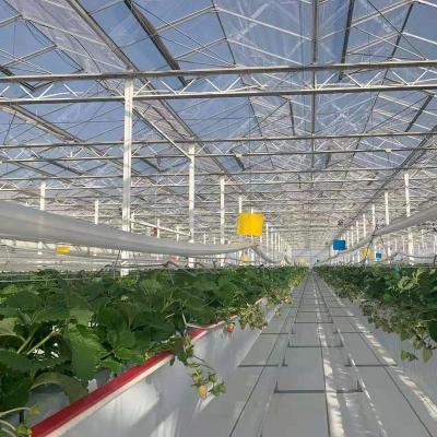 China Hydroponic greenhouse growing system glass greenhouse agricultural/commercial greenhouse for sale for sale