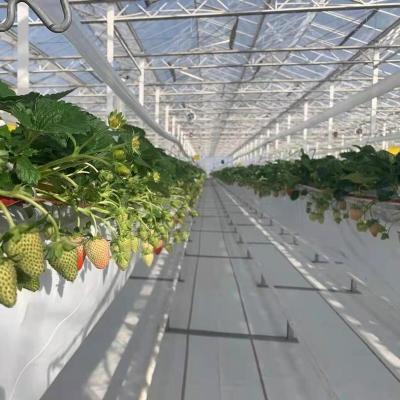 China Glass greenhouse used commercial greenhouse hydroponic systems greenhouse for sale