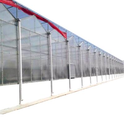 China Multi-Span Greenhouse Commercial Polycarbonate Sheet Greenhouse For Vegetable Fruits Flowers for sale