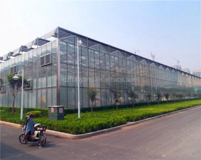 China PC sheet steel structure frame house polycarbonate greenhouse with hydroponic system for sale