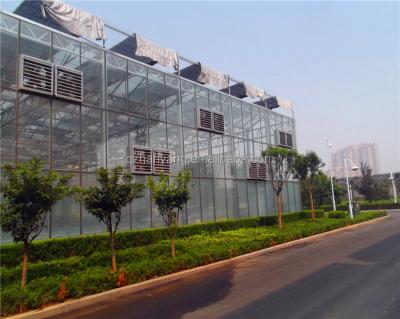 China Korea technology agricultural polycarbonate Sheet Greenhouse project for Turkmenistan market for sale