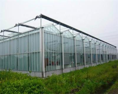 China Uv Coated Twinwall Hollow Polycarbonate Sheet Greenhouse Tomato Growing Polycarbonate Sheet Greenhouse for sale