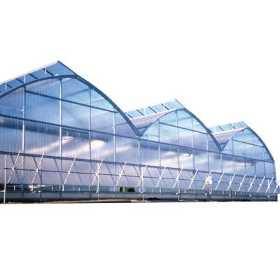 China Multi-span greenhouse commercial greenhouse polycarbonate greenhouse for sale for sale