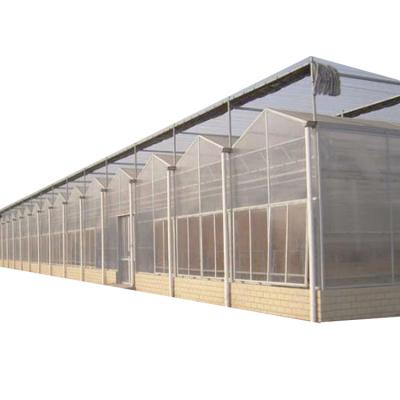 China Agricultural Multi-Span polycarbonate sheet greenhouse equipment hydroponic growing systems for sale