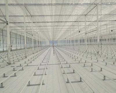 China used commercial polytunnel green house for tomato growing with hydroponic system for sale