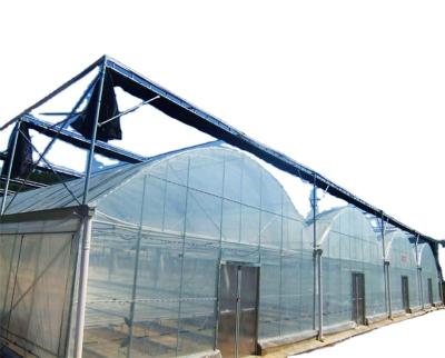 China Greenhouse with Dutch bucket/Fully automatic green house/hydroponics container for sale