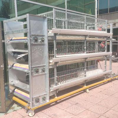 China The broiler chicken coop----Automatic breeding equipment for sale