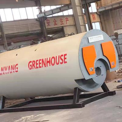 China Greenhouse plant heating equipment - Two kinds of fuel boiler for sale for sale