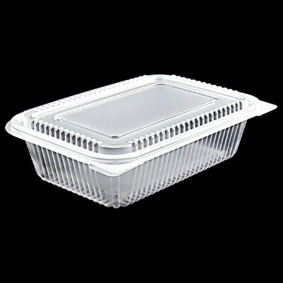 China Best Disposable Selling Disposable Plastic Takeout Salad Lunch Fruit Salad Container Hinged Bowl for sale