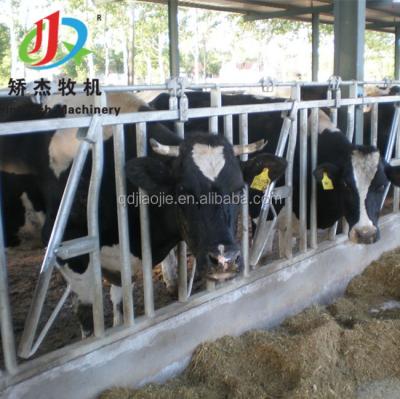 China Cow Head Lock Flexible Cattle / Cow Lock Dairy Key Raising Equipment for sale