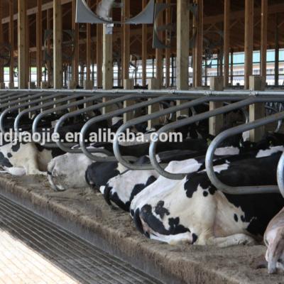 China Durable Cow Free Stall Poultry Farming Equipment For Sale! for sale