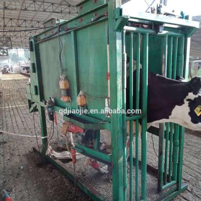 China Convenient Automatic Cattle Breeding Equipment / Cow Hoof Trimming Machine for sale