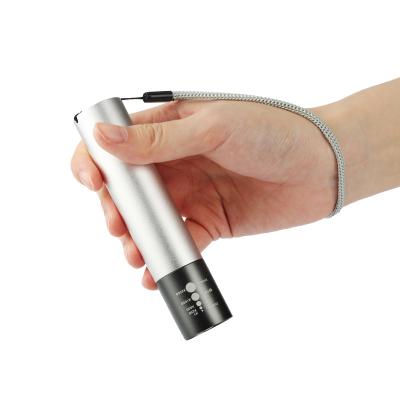 China Hot Selling 670nm Wrinkle Remover Supersred Rheostat Therapy Torch Face Skin Beauty and Pulse Light Led Red Light Therapy Torch for sale