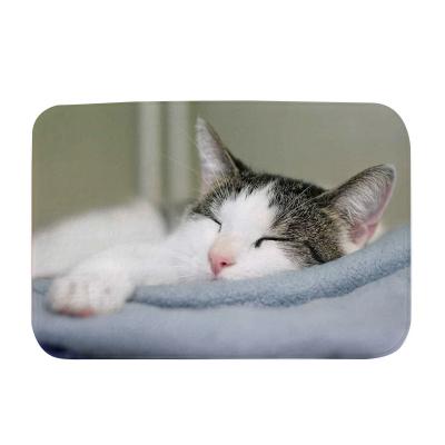 China Cat Printing Coral Fleece Doormat Anti-slip Cute Bathroom Pet Floor Non-slip Cover Mat Home Decoration Carpet for sale