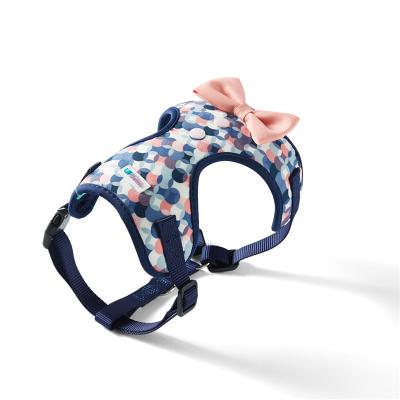 China UFBemo Stocked 2022 New 100%Polyester High Quality Looking Good Dog Harness With Leash for sale