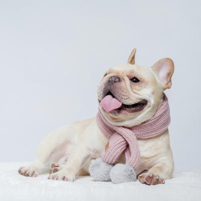 China UFBemo Fashion Pink Rabbit Viable Fluffy Ball Scarf Cute Winter Fashion Dog Knitted Warm Pet Scarf for sale