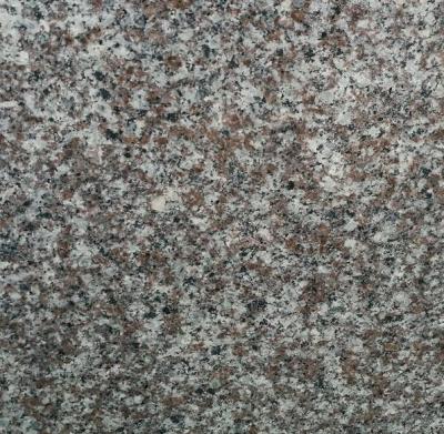 China Cheap And Competitive Price China Natural Rose Flower G664 Granite for sale