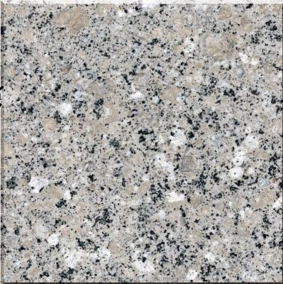 China Cheap and Competitive Price Nice Gray Granite Direct Factory Price for Chile Market for sale