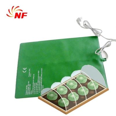 China Good for growth hot sale seedling heat mat for planting project for sale