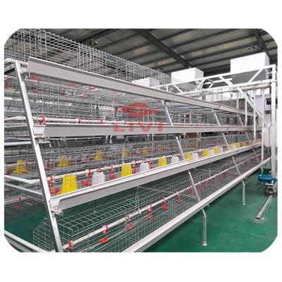 China Commercial Chicken Feeding Popular Sale 4 Tier Baby Chicken Cage One Type For One Day Layer Pullet Cage for sale