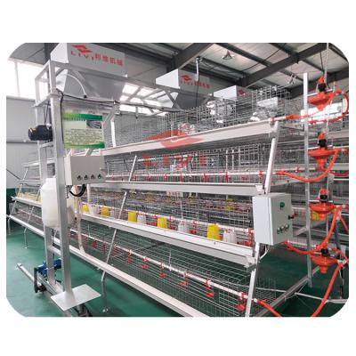 China Commercial Chicken Feeding One Type Automatic Baby Chicken Cage For Day Old Layer Chicks Pullet Cage for sale