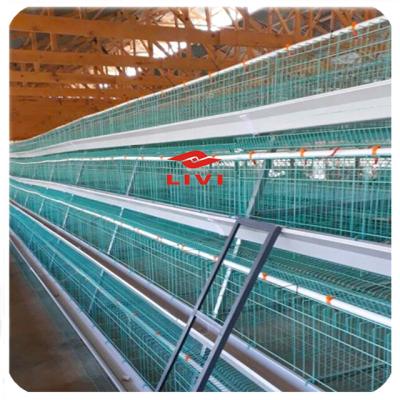 China Best Selling Manual Layer Chicken Layer Cage For Sale In South Africa Poultry Farming Layers Chicken Cage Animal Sales In Senegal for sale