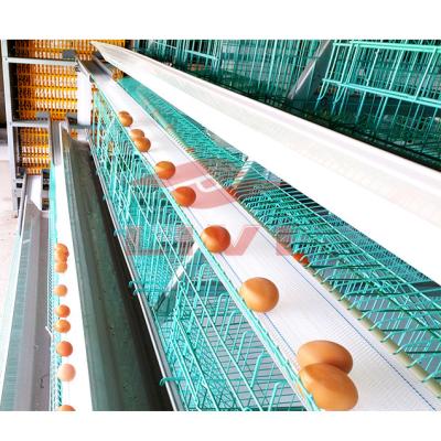 China Durable LIVI Modern Design A Type Chicken Cage Egg Layer Poultry Farms Layer Chicken Cages For Kenya for sale