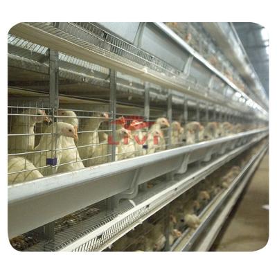 China Layer Chicken Battery Cages For Poultry Farm For H Type 4 Tiers Layer Automatic Chicken Cage for sale