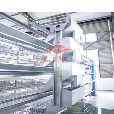 China Easy Install Meat Broilers In Automatic Cages System With Automatic Feeder, Drinker for sale