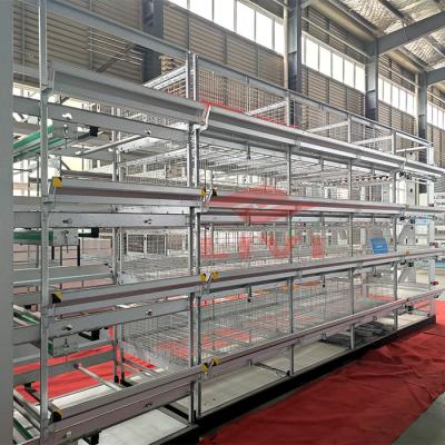 China Easy Install Automatic Low Price Chick Cages Systems Breeder Chicken Cage Poultry Farming Equipment Automatic Baby Chick Cage for sale