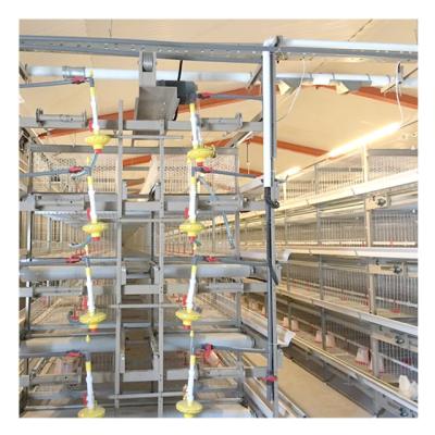 China 20 Years Supply China Best Selling Adjustable Chicken Cage For 1 Day Old Chicks In Poultry Farm for sale