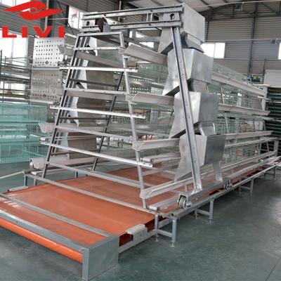 China Save Hot Sale Zhengzhou Livi Work Automatic Egg Collecting Machine In Layer Chicken Cages for sale