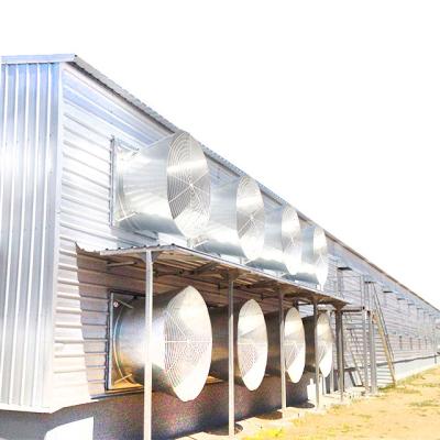 China Farms Poultry Farm Ventilation System for Chicken Shed for sale