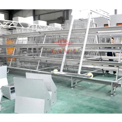 China Easy Installation Chicken Farm Equipment Automatic Layer Chicken Cage Feeding System for sale