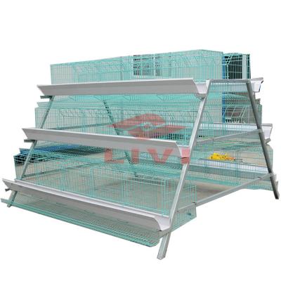 China Layer Poultry Farm Drinking System with Best Quality for sale