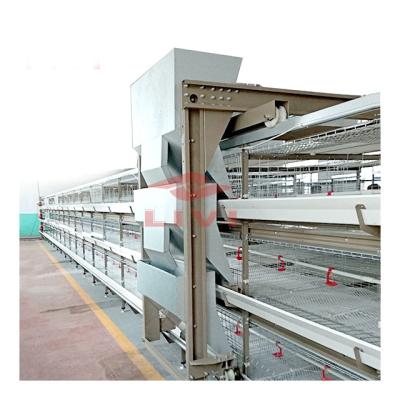 China Chicken farm chicken equipment for sale in South Africa 30,000 layers chicken cage layer design project for sale