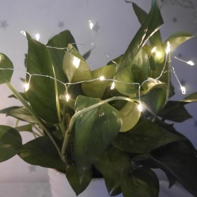 China String Lights 4M Long 100pcs LED BOA Micro String Light With Battery Operated for sale