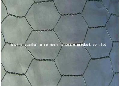 China PVC Coated Fine Chicken Wire Mesh for sale