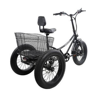 China Cargo EU Hot  Fat tire Lithium 48V 500W Differential shaft Trike Tricycle for elderly for sale