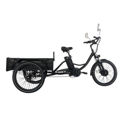 China Cargo High quality Trike Lithium Battery Powered 350W 500W Disc 24 Inch Three Wheels  Tricycles for sale