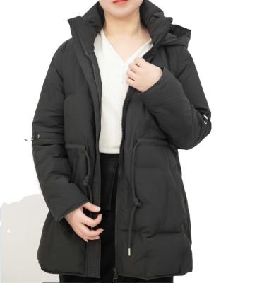 China Fashion Waterproof Wholesale Casual Windproof Down Jacket Women's Stripper Coats for sale