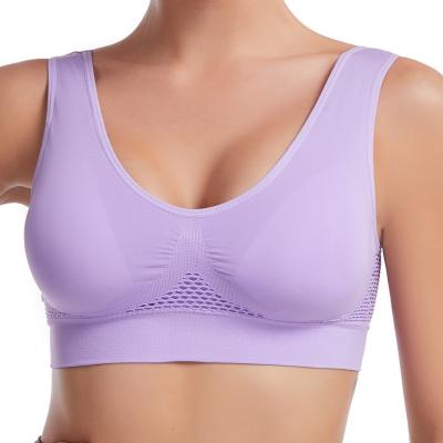 China Wholesale Breathable Women Plus Size Sportswear Gym Equipment Seamless High Quality Women Workout Sportbra for sale