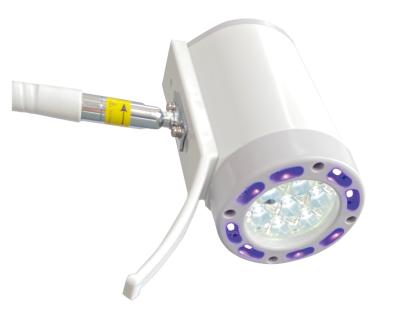 China Easywell Metal ENT Beauty Light KS-Q7U With Goose Neck LED-UV Free Standing Arm Lights Medical for sale