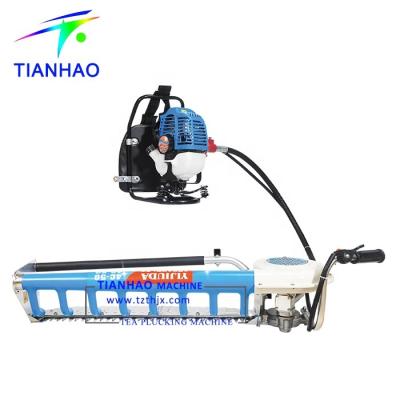 China Tea Harvesting 26CC Single Man SKC4C-60 (34F) Operated Agricultural Machinery Tea Harvester for sale